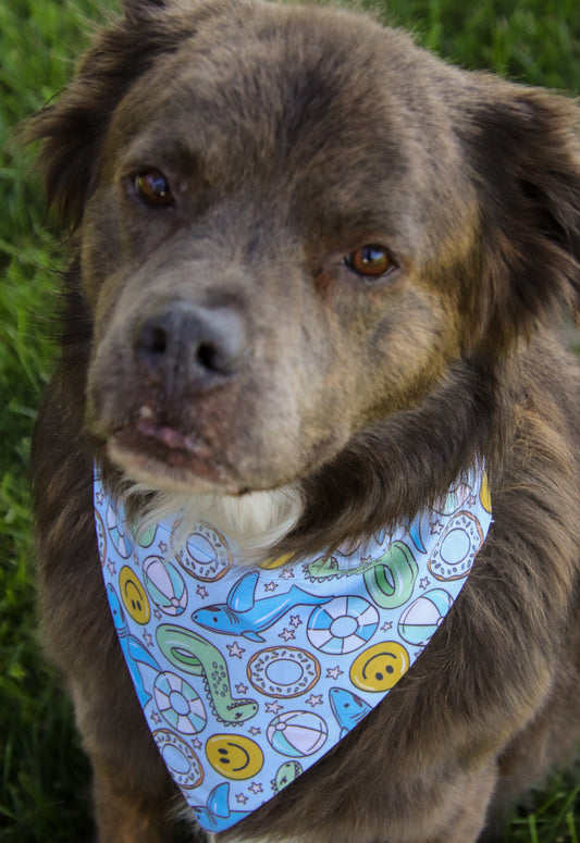 Inflatable Pool Floats Bandana