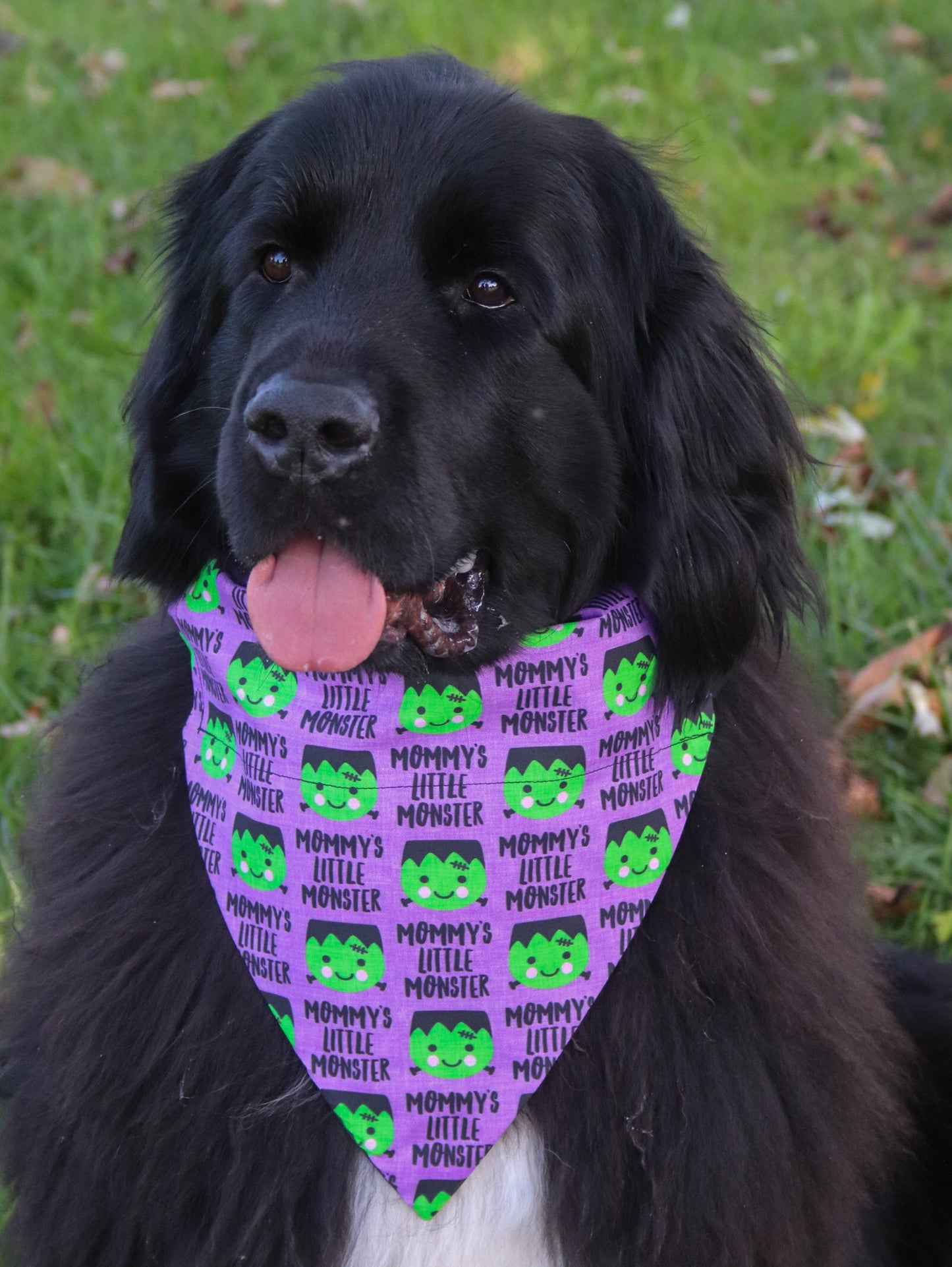 “Mommys little monster” Frankenstein Bandana