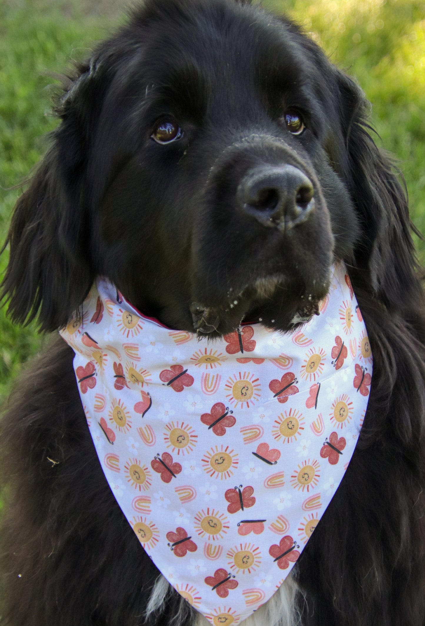 Rainbows, Sunshine & Butterflies Bandana