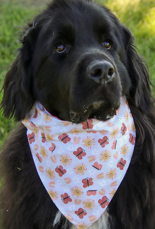 Rainbows, Sunshine & Butterflies Bandana