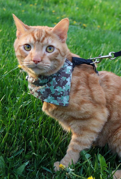 Camo Cat Bandana