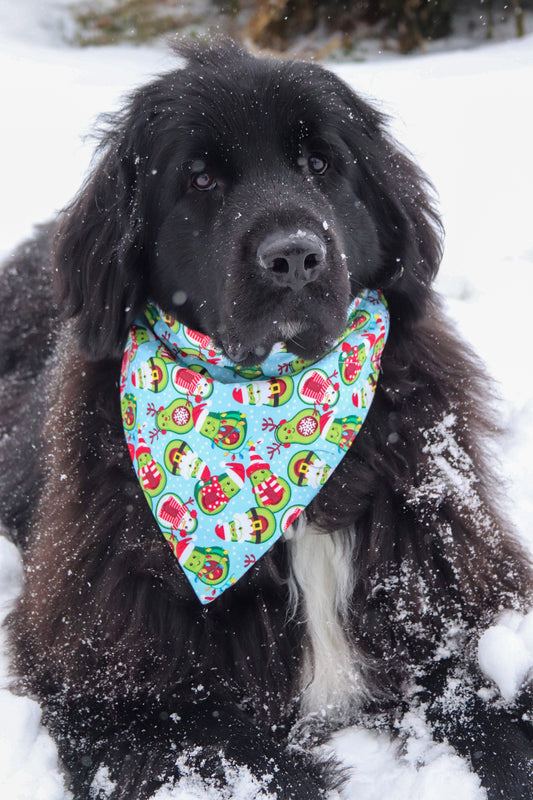 Christmas Avocado Bandana