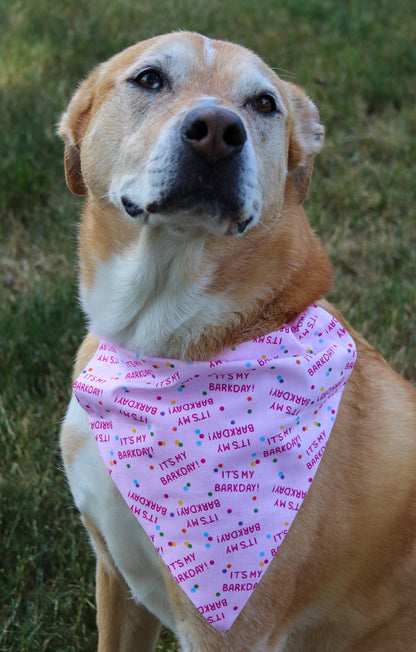 It’s my Barkday Bandana