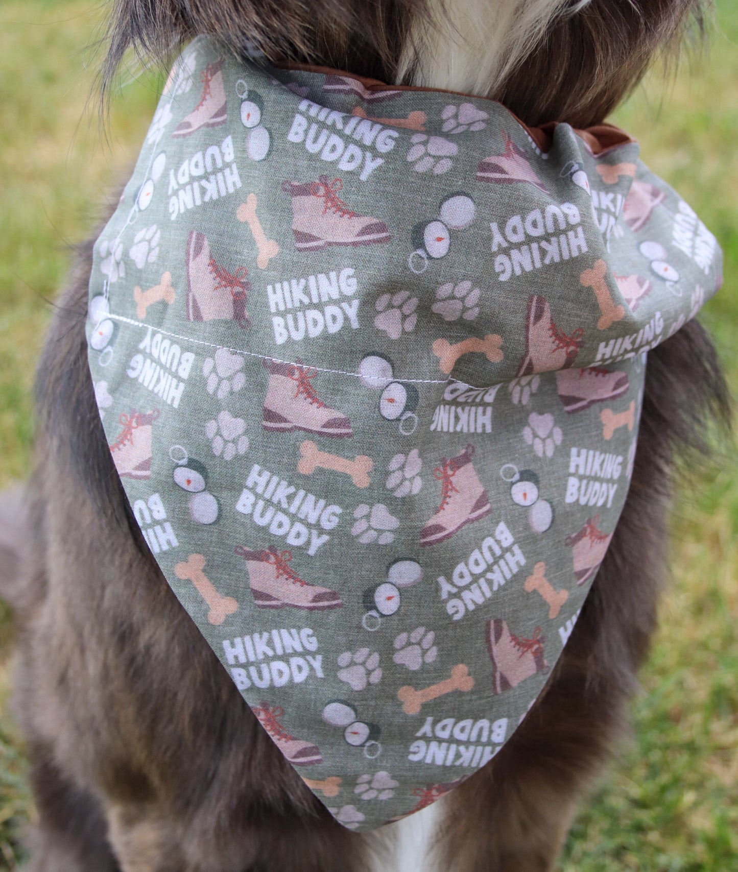 Hiking Buddy Bandana