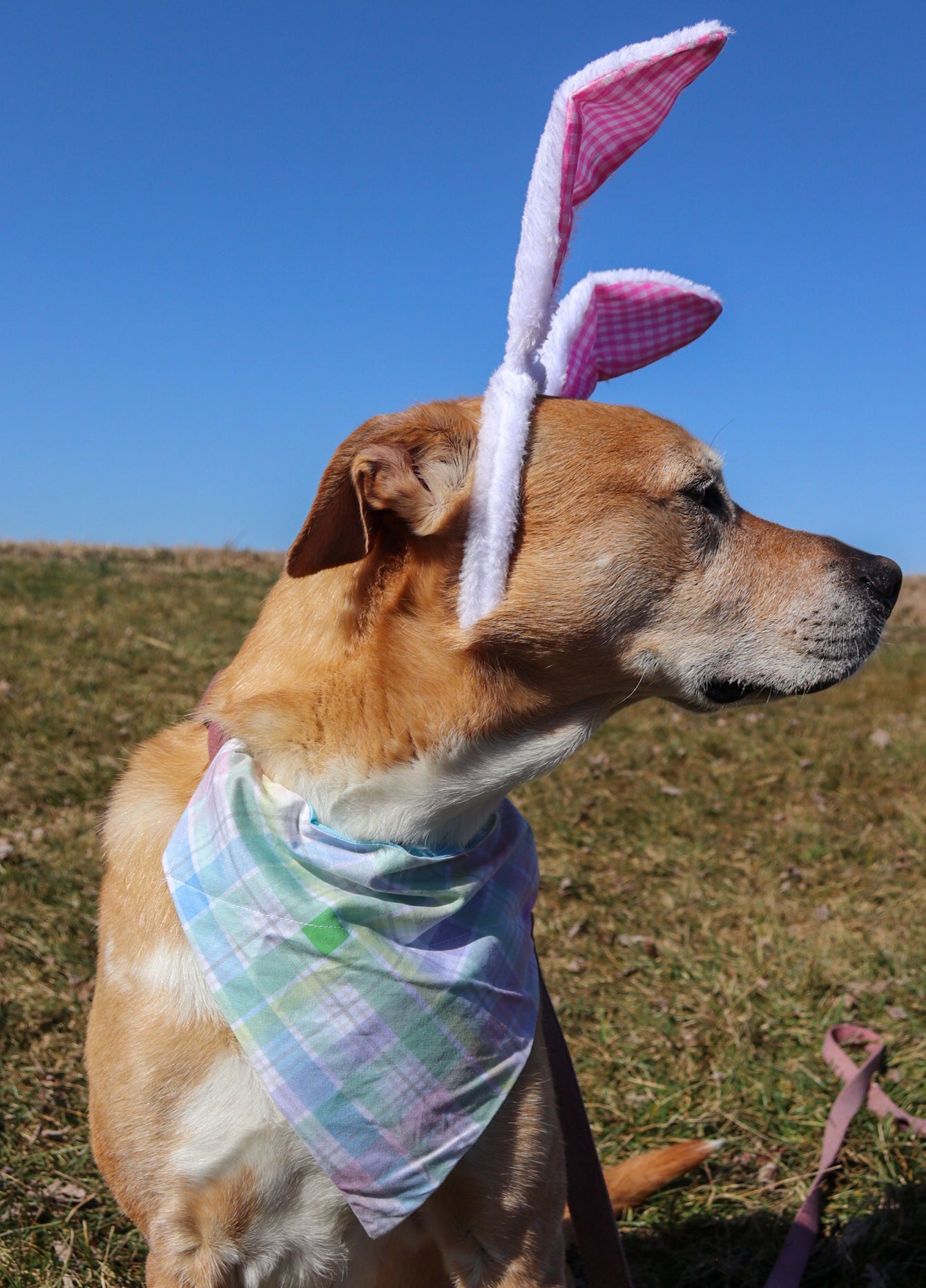 Pastel Plaid Bandana