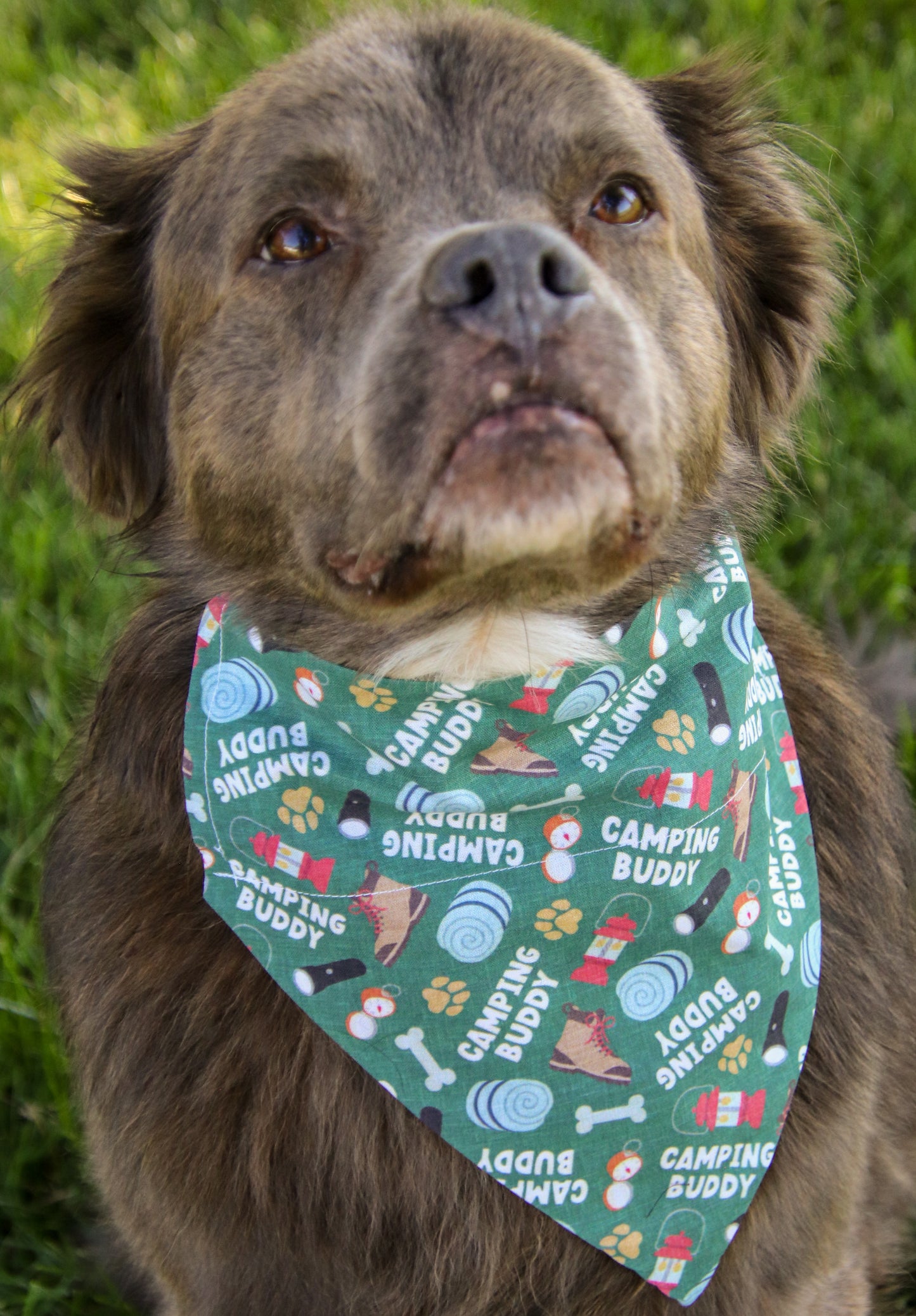 Camping Buddy Bandana