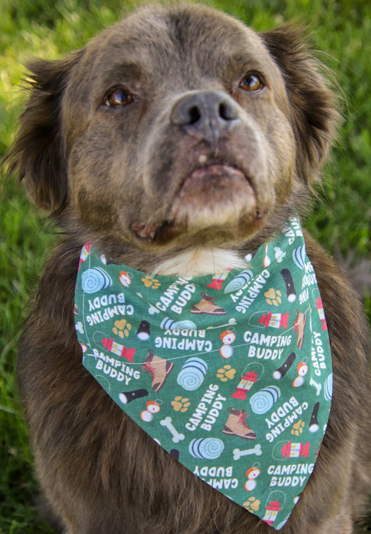 Camping Buddy Bandana