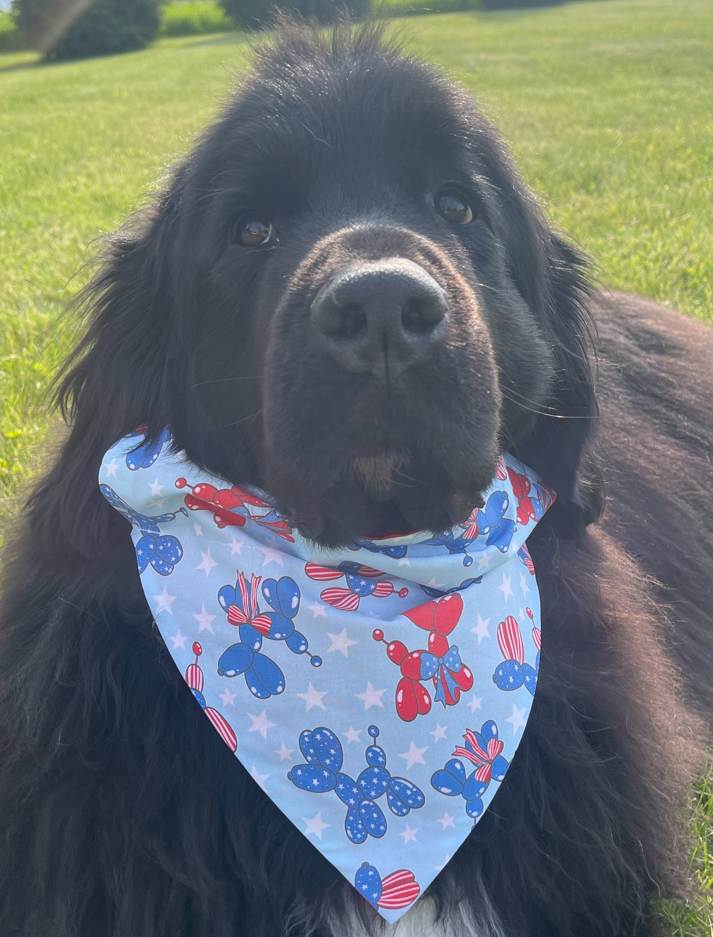 Balloon Dog Bandana