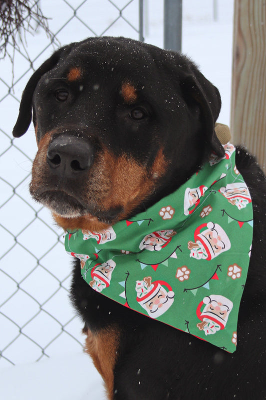 Santa Cocoa Bandana