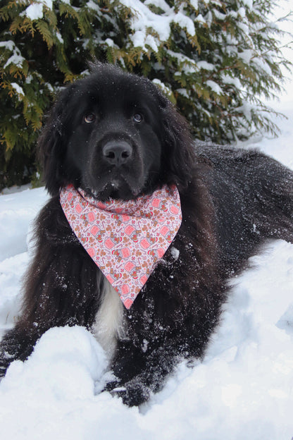 Gingerbread Cocoa Bandana