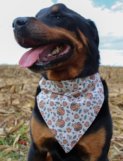 Beige Turkey & Pumpkin Bandana