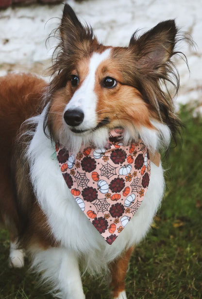 Pumpkin/Cobweb/Mums Bandana