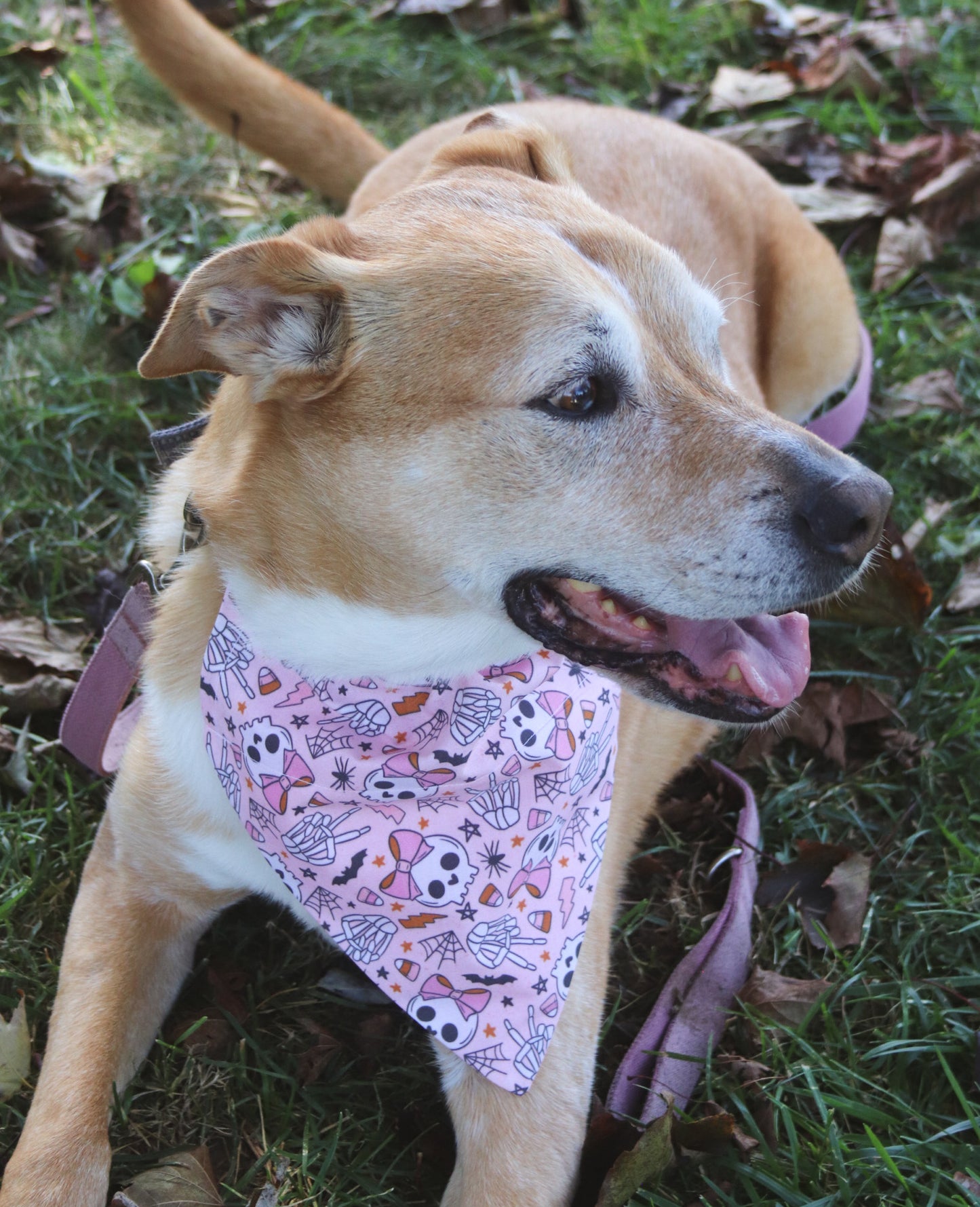 Pink Skull Peace Sign Bandana