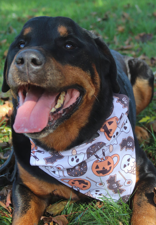 Halloween Desserts Bandana