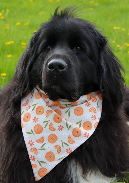 Smiley Orange Bandana