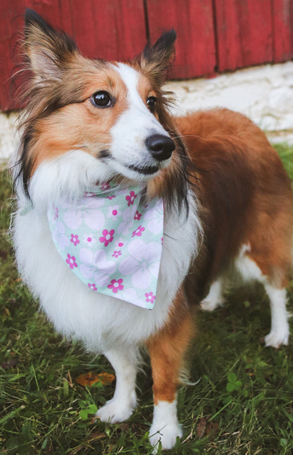 Tropical Flower Bandana