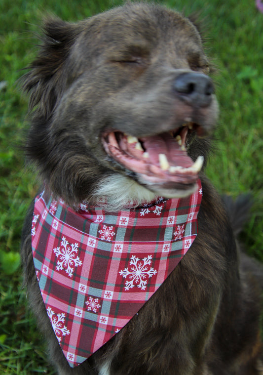 Grey Snowflake Plaid Bandana