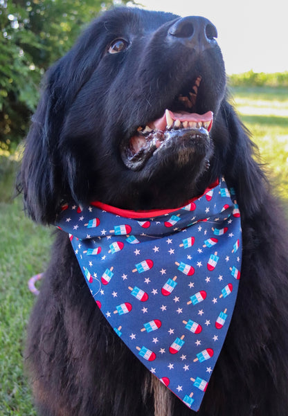 Popsicles & Stars Bandana