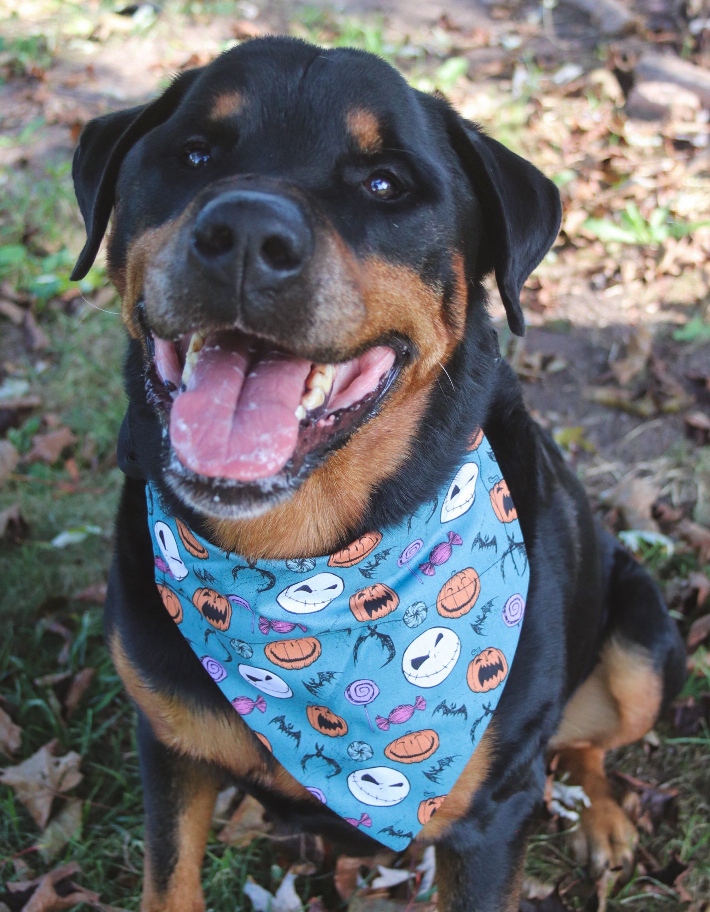 The Nightmare Before Christmas Bandana