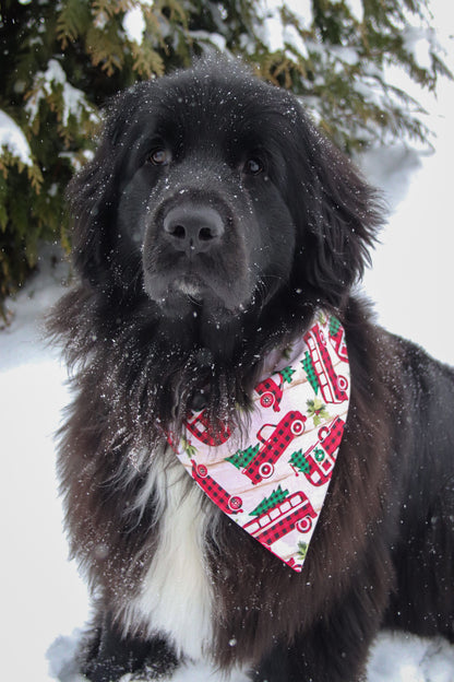 Plaid Truck & Tree Bandana