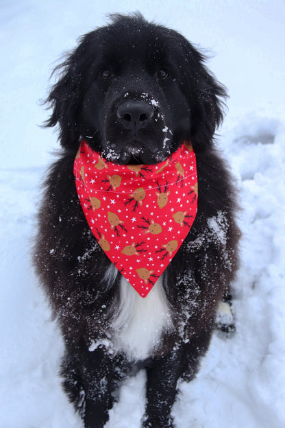 Red Reindeer Bandana