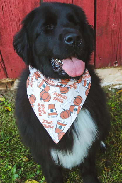 Pupkin Spice Coffee Bandana