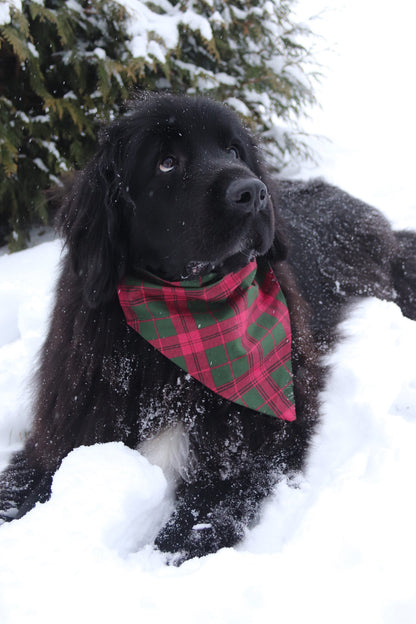 Green & Red Plaid Bandana