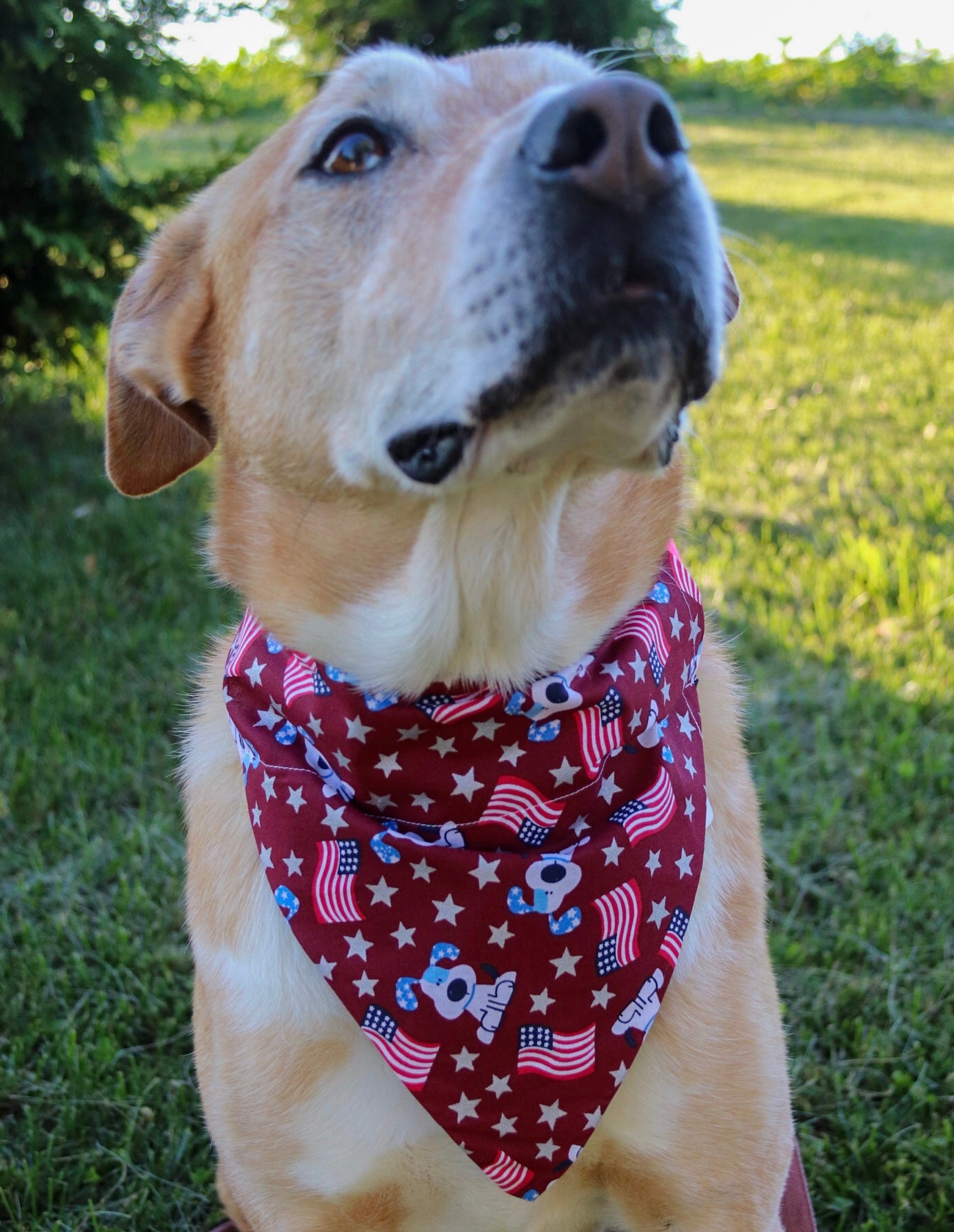 American Flag Dog Bandana