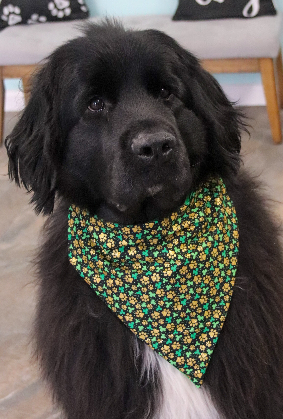 Glitter Shamrock Pawprint Bandana