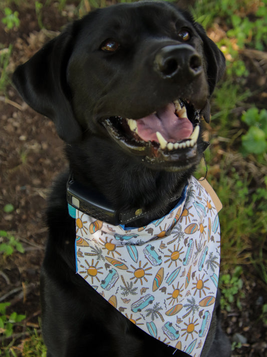 Surfboard Bandana
