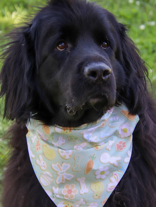 Easter Cookie Bandana