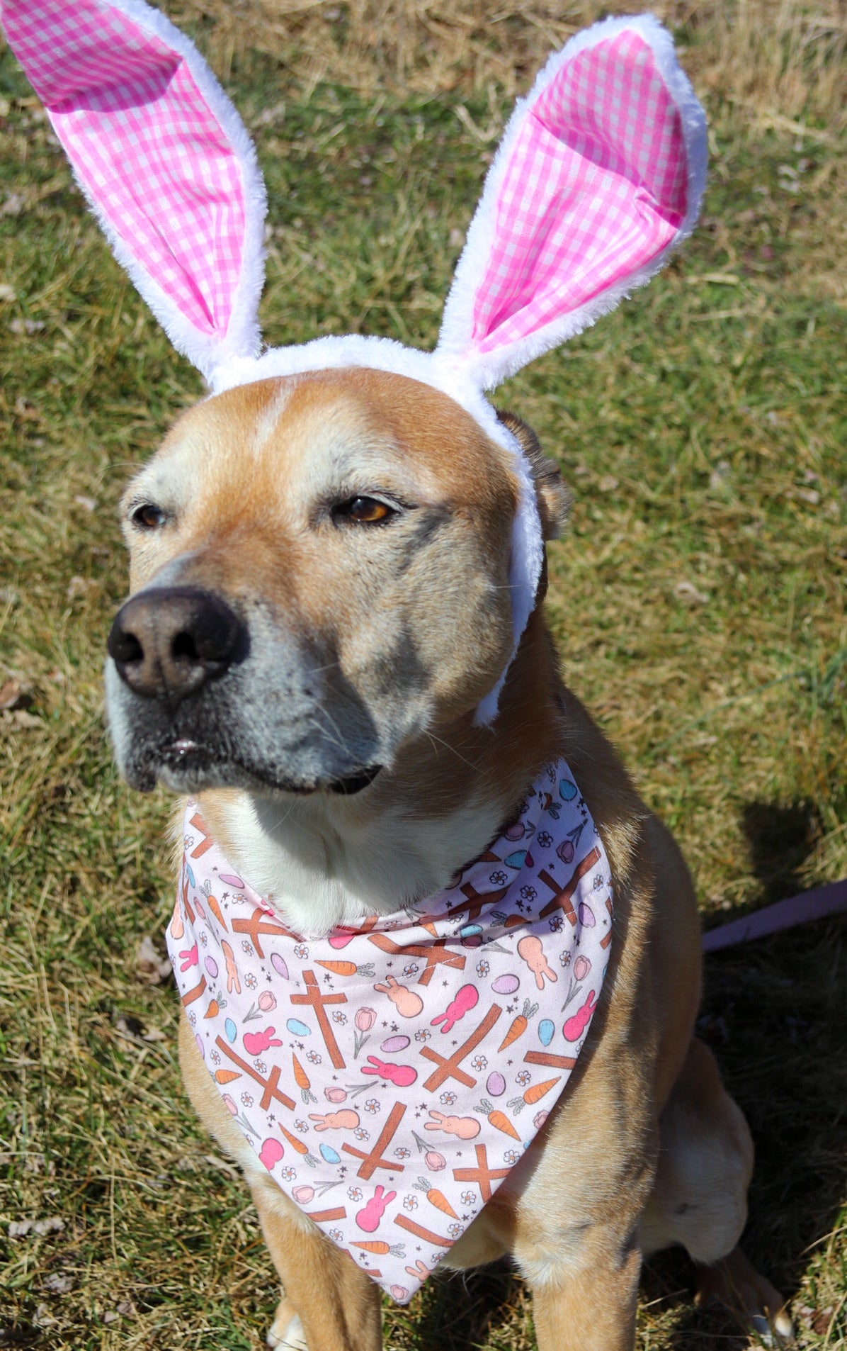 Crosses & Peeps Bandana