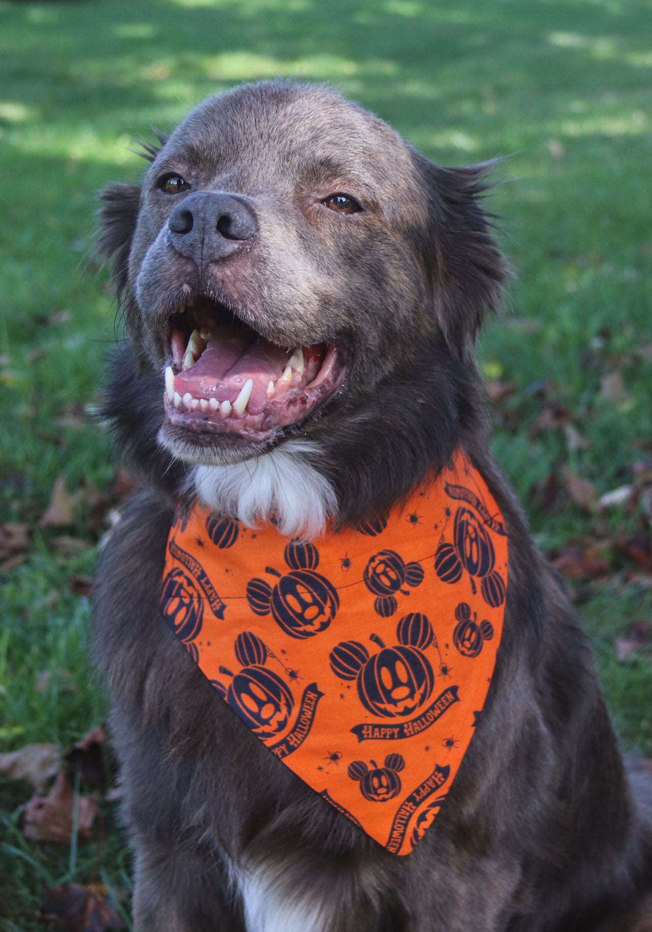 Mickey Mouse Pumpkin Halloween Bandana