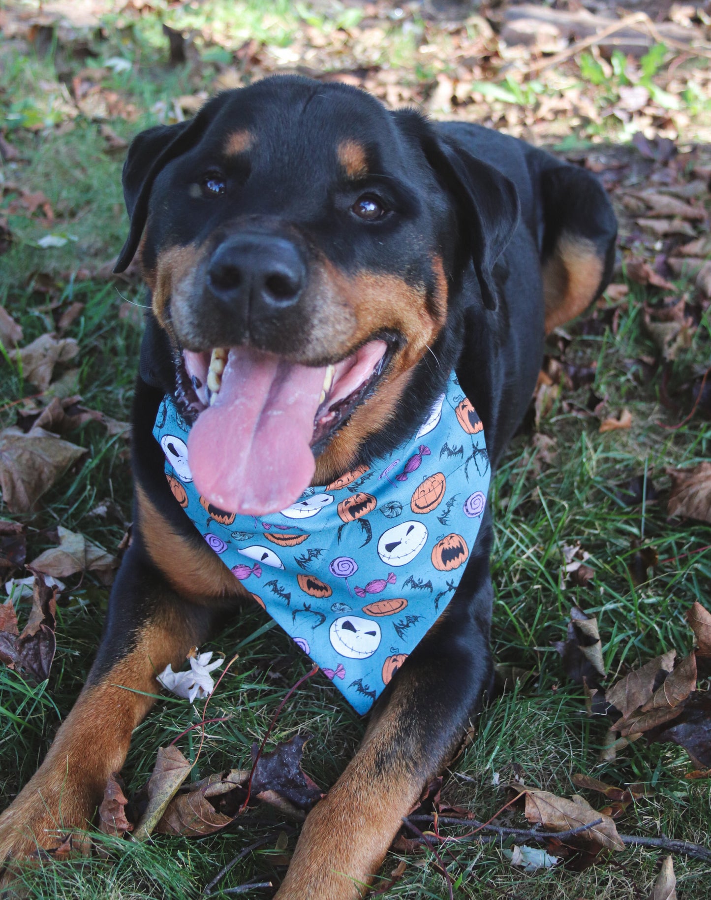 The Nightmare Before Christmas Bandana