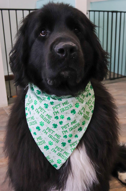 Pet Me I’m Irish Bandana