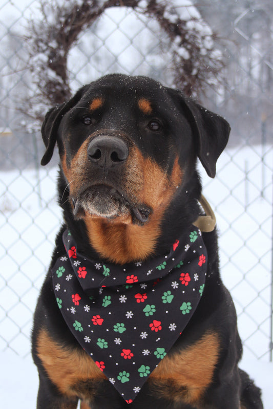 Christmas Paw Print Bandana