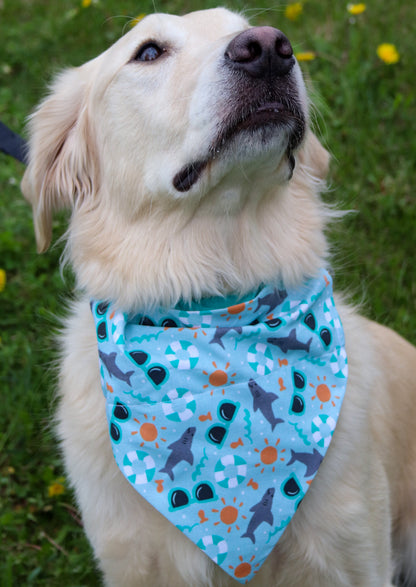 Beach Bandana