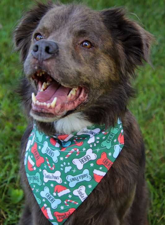 Santa Paws Bone Bandana