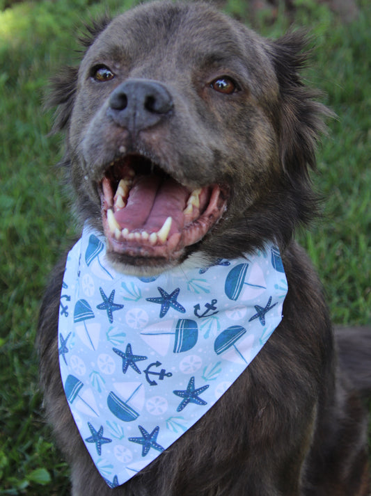 Sailboat Beach Bandana