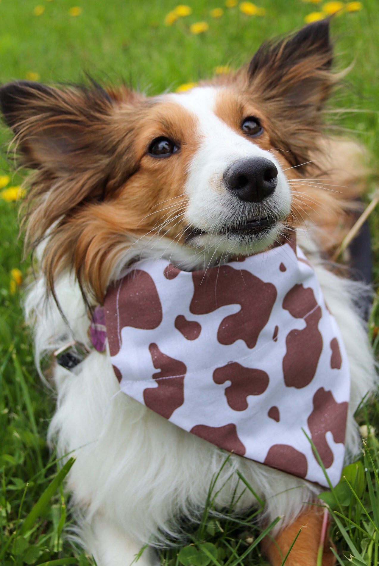 Glitter Brown Cow Bandana