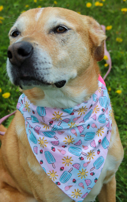 Summer Popsicle Bandana
