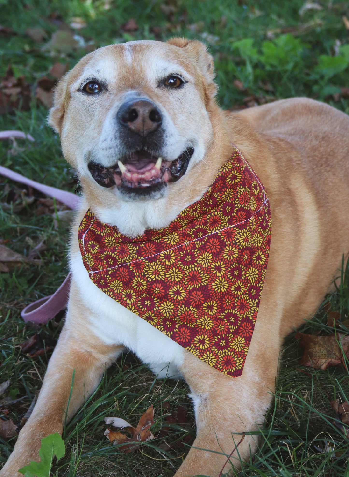 Fall Floral Bandana