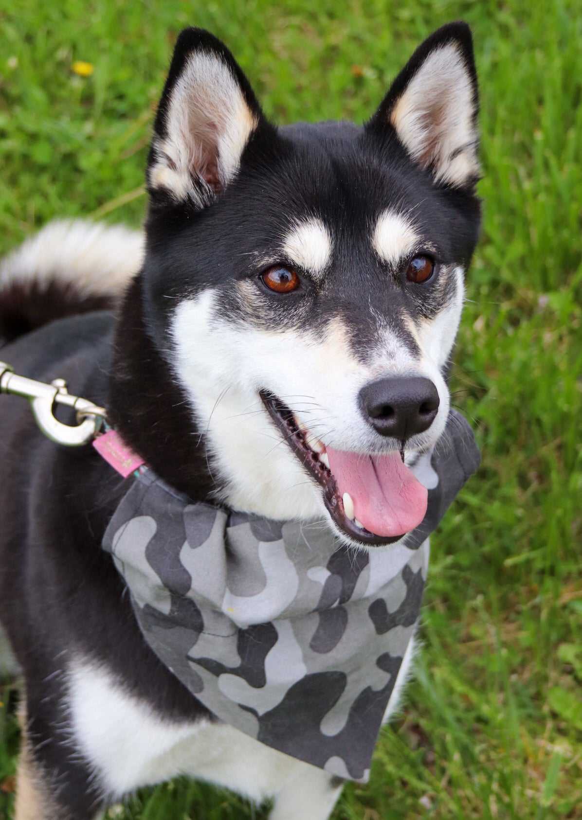 Gray Camo Bandana