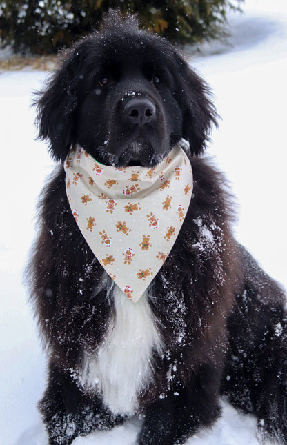 Polka Dot Gingerbread Bandana