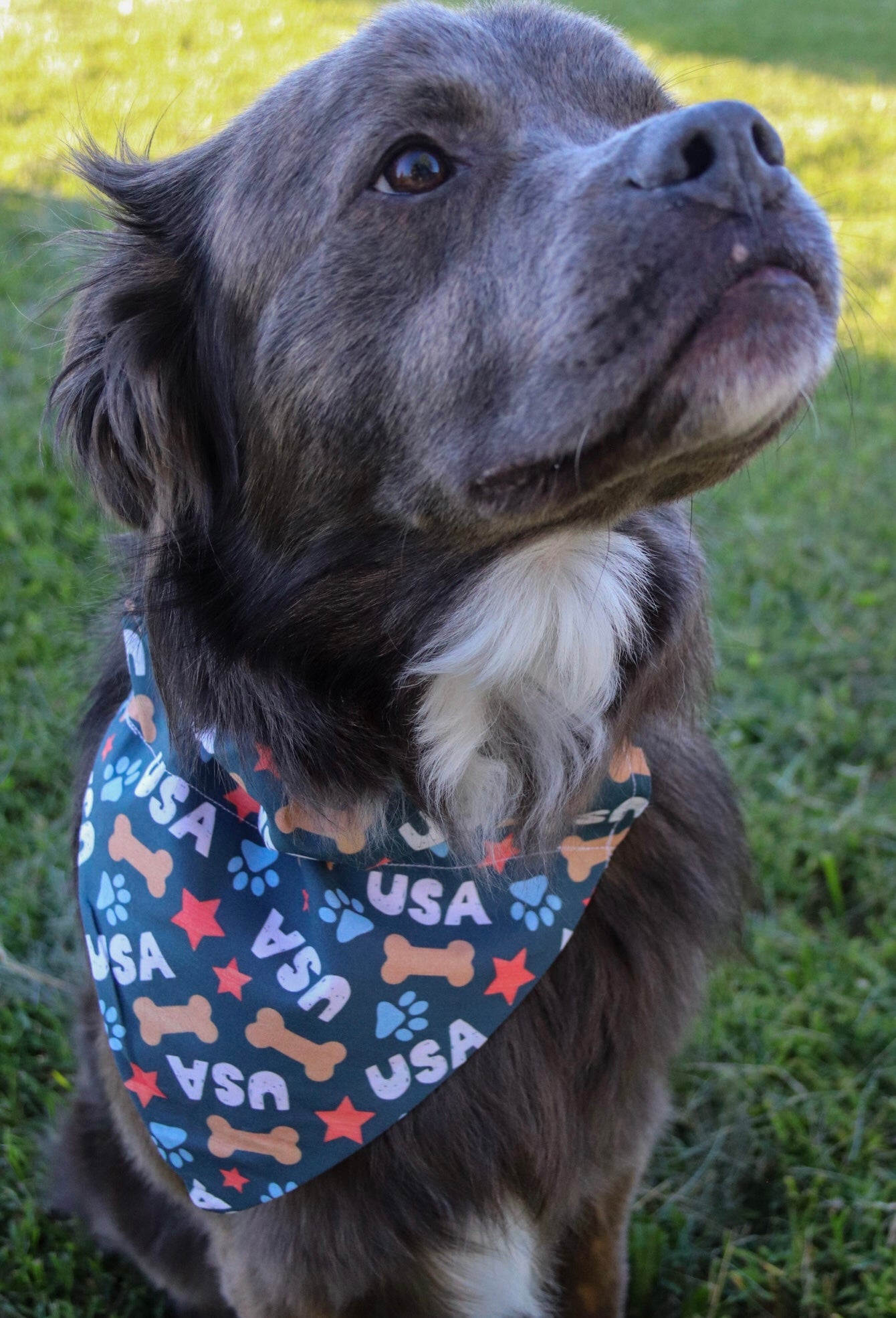 USA Bone Bandana