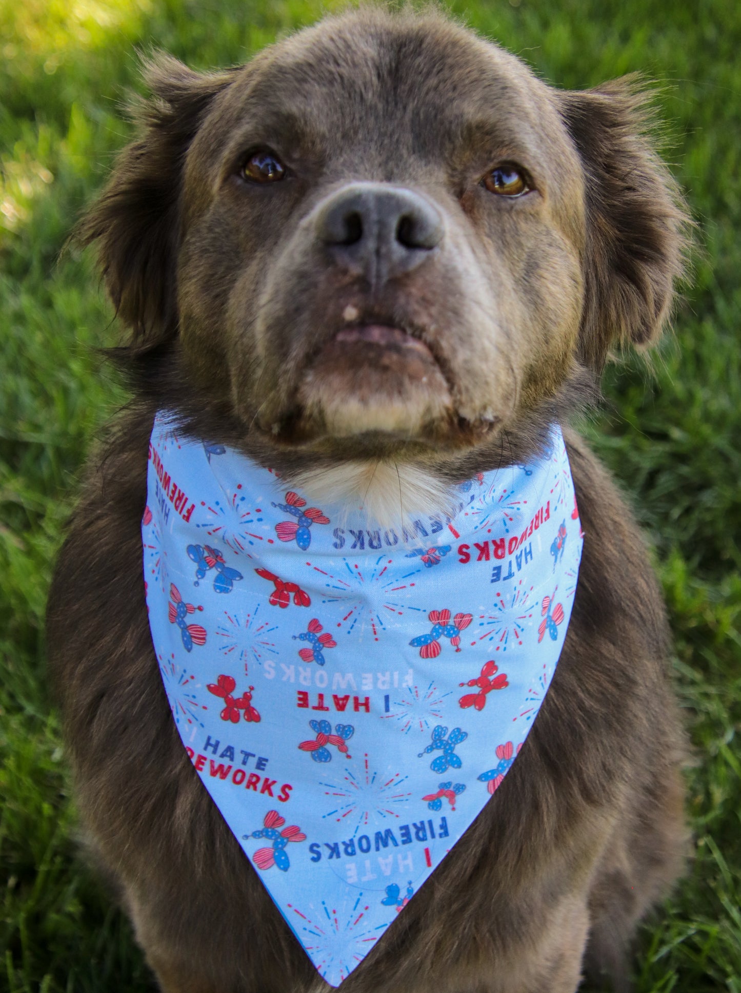 I Hate Fireworks Bandana