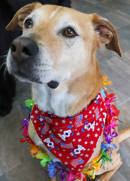 4th Of July Dog Bandana