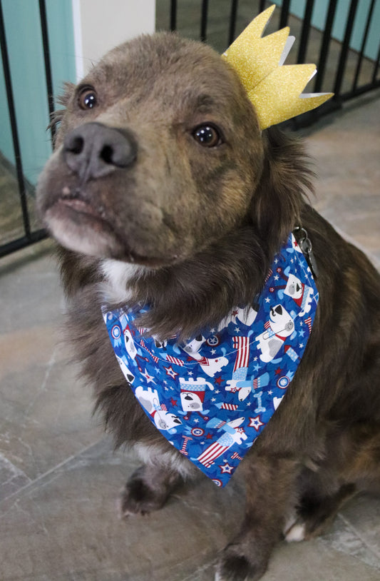 4th Of July Patriotic Dog Bandana