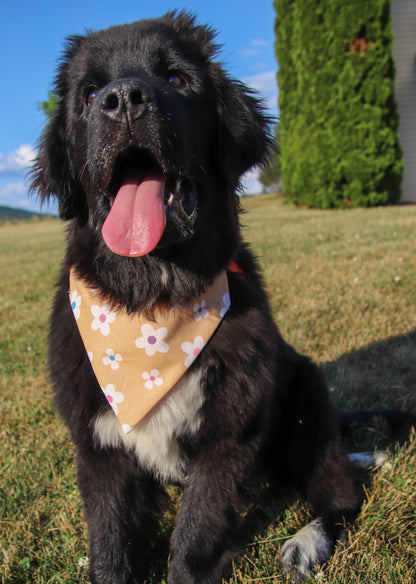 Tan Floral Bandana