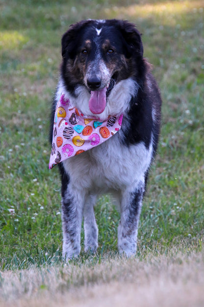 Donut Bandana
